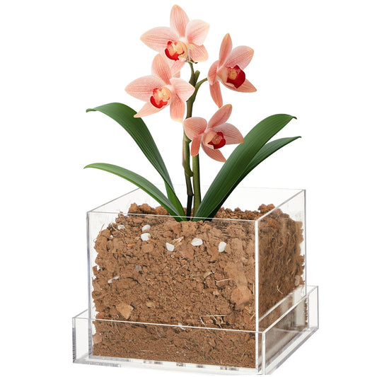 Sunnychicc Clear Plant Nursery Pots Acrylic Orchid Pots with Drainage Holes and Tray Transparent Planter for Indoor Plants, Succulents, Herb, Flowers and Cactus Decorative(6 Inches,Square)