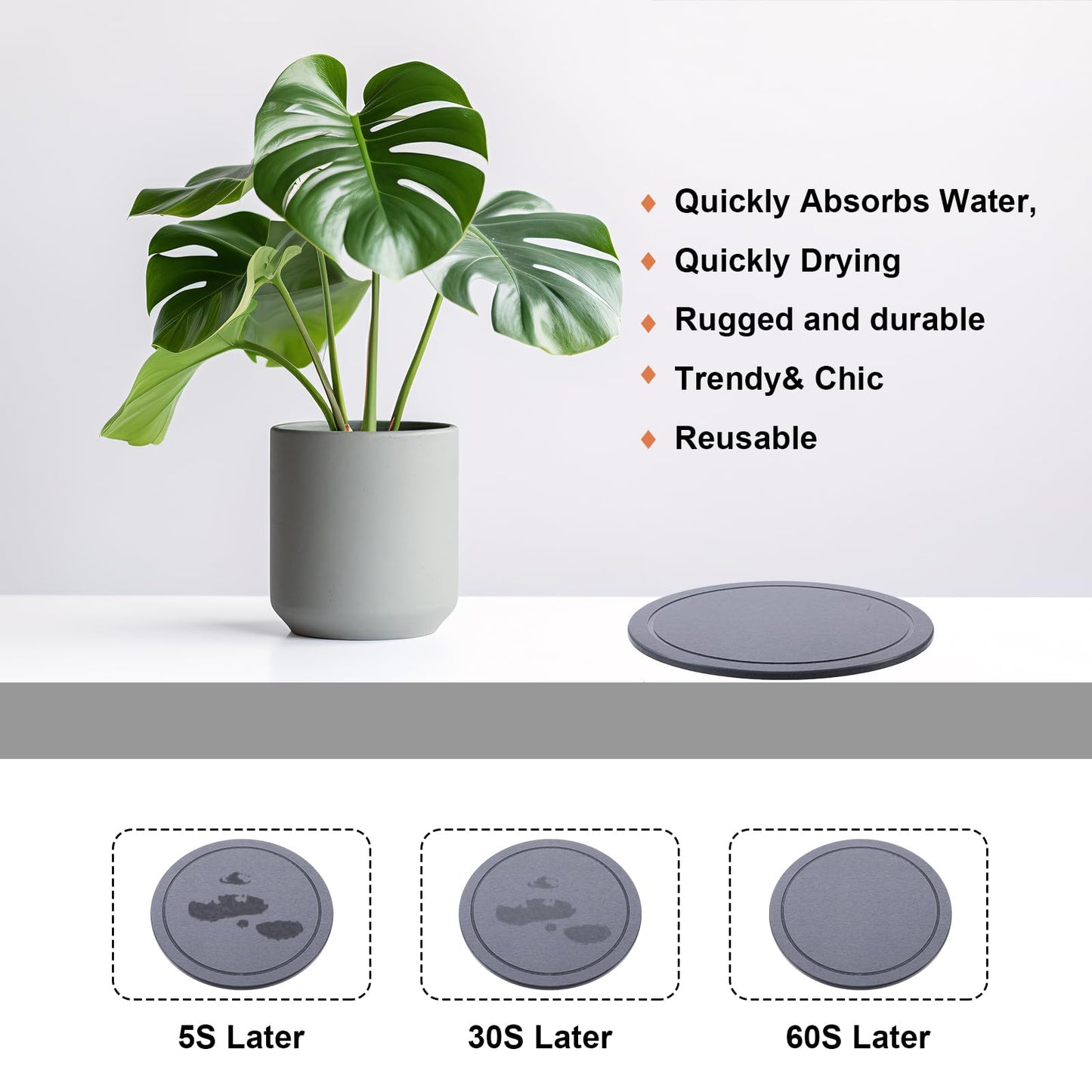 Drydiet 3 Pack Diatomaceous Earth Plant Saucer Set 6/8/10 Inch Quick Dry Absorbent Plants Tray Absorbing Plant Tray for Gardening Indoor Outdoor Plants (Charcoal Gray)