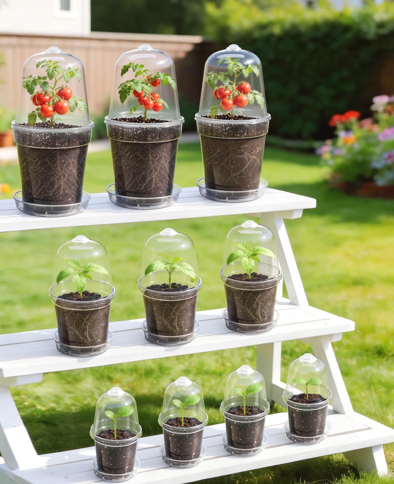homenote 3/4/5 Inch Clear Nursery Pots 18 Pack with Humidity Domes&Plant Saucers–Rigid Plastic Nursery Pots with Drainage,Transparent Flower Pots for Seedlings,360° Rotary Vent,Indoor Outdoor Garden