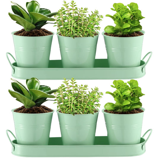 Hicarer 2 Sets Herb Planter with Tray Metal Herb Garden Planter with Drainage Farmhouse Windowsill Pots for Indoor Plants Flower Succulent Outdoor Kitchen Apartment Balcony Window (Green)