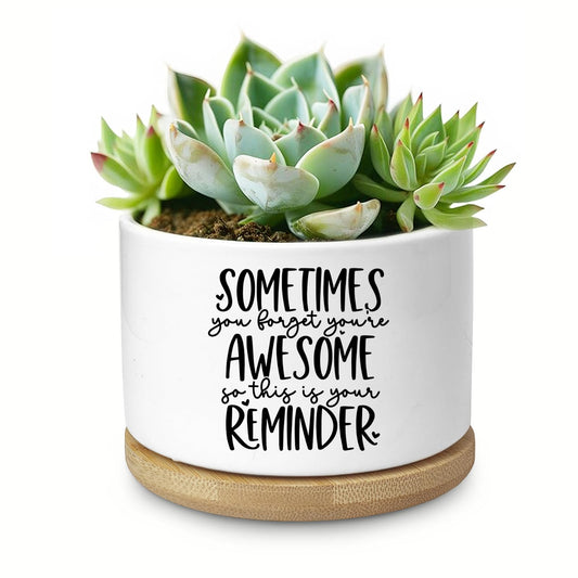 Aryabtya Cute Succulent Planter, Flower Cactus Plant Pot Gifts, Thank You Inspirational Gifts for Women Men Coworkers Teachers Plant Lovers, Office Home Windowsill Indoor Decor (No Plants)