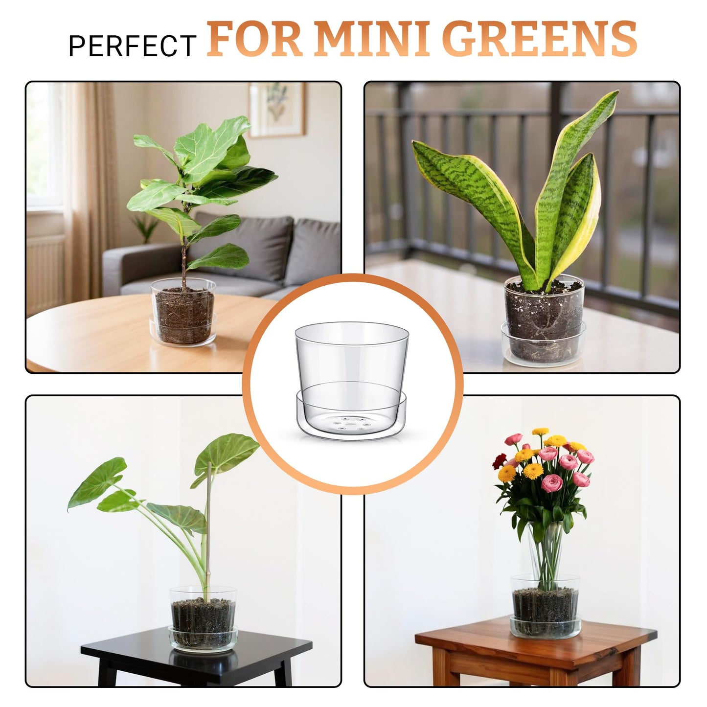 SHEER POTS Sheer Glass Pot Planter with Drainage Holes & Tray - Decorative & Modern for All House Plants (4 Inches)