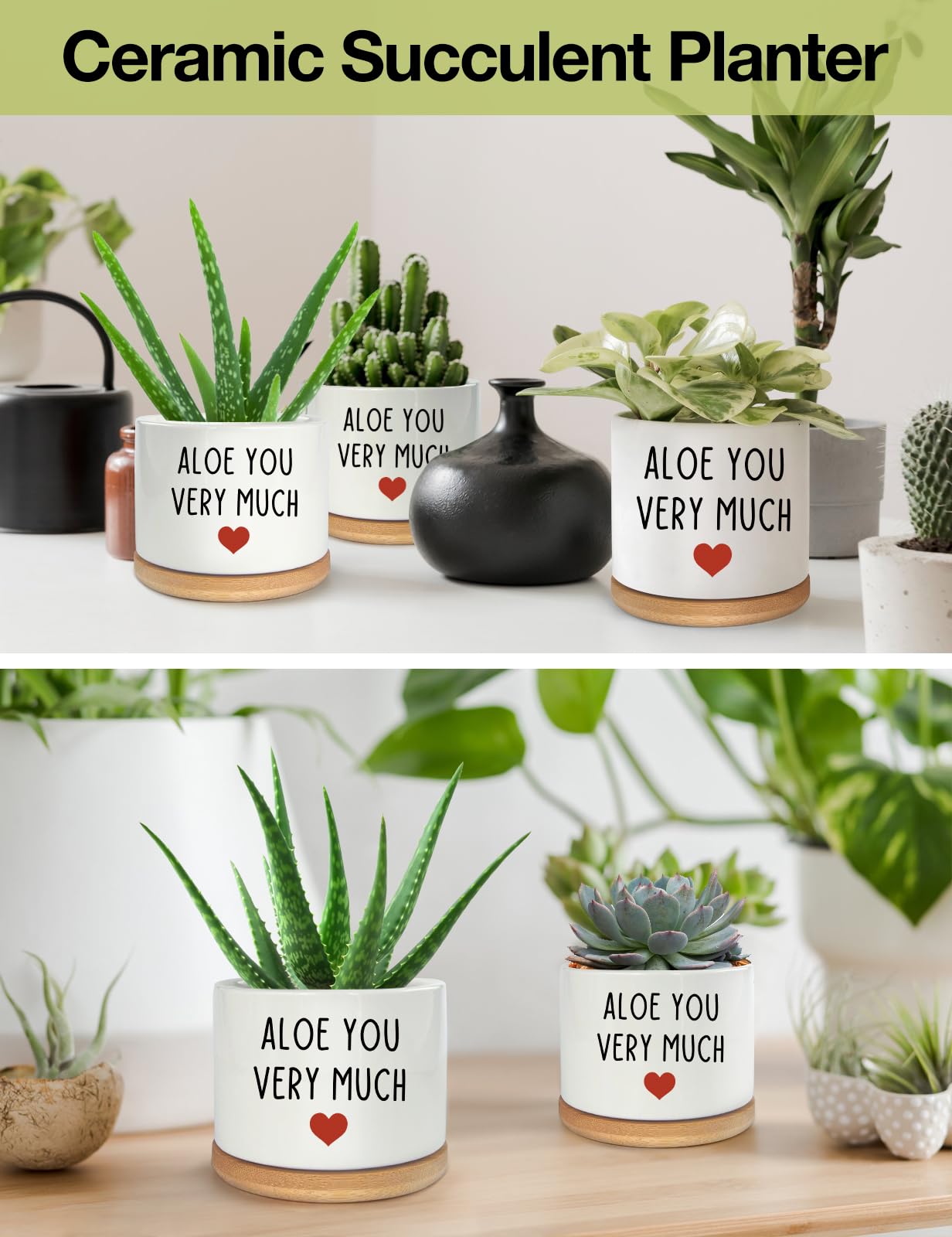 PWHINGN Thank You Very Much Engraved White Ceramic Succulent Planter Pot, Funny Indoor Plant Pot for Home Office Windowsill, Aloe Cactus Flower Pot 3.8 Inch, Plant Pot Gift (Plant Not Included)