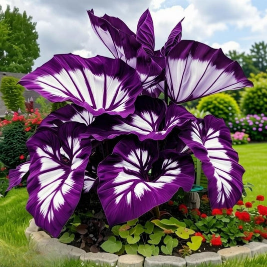 EDRHTJG Elephant Ear Tropical Foliage Large Leaf Decor for Outdoor Garden Patio Natural Green Tones-a Garden Design Essential (6)
