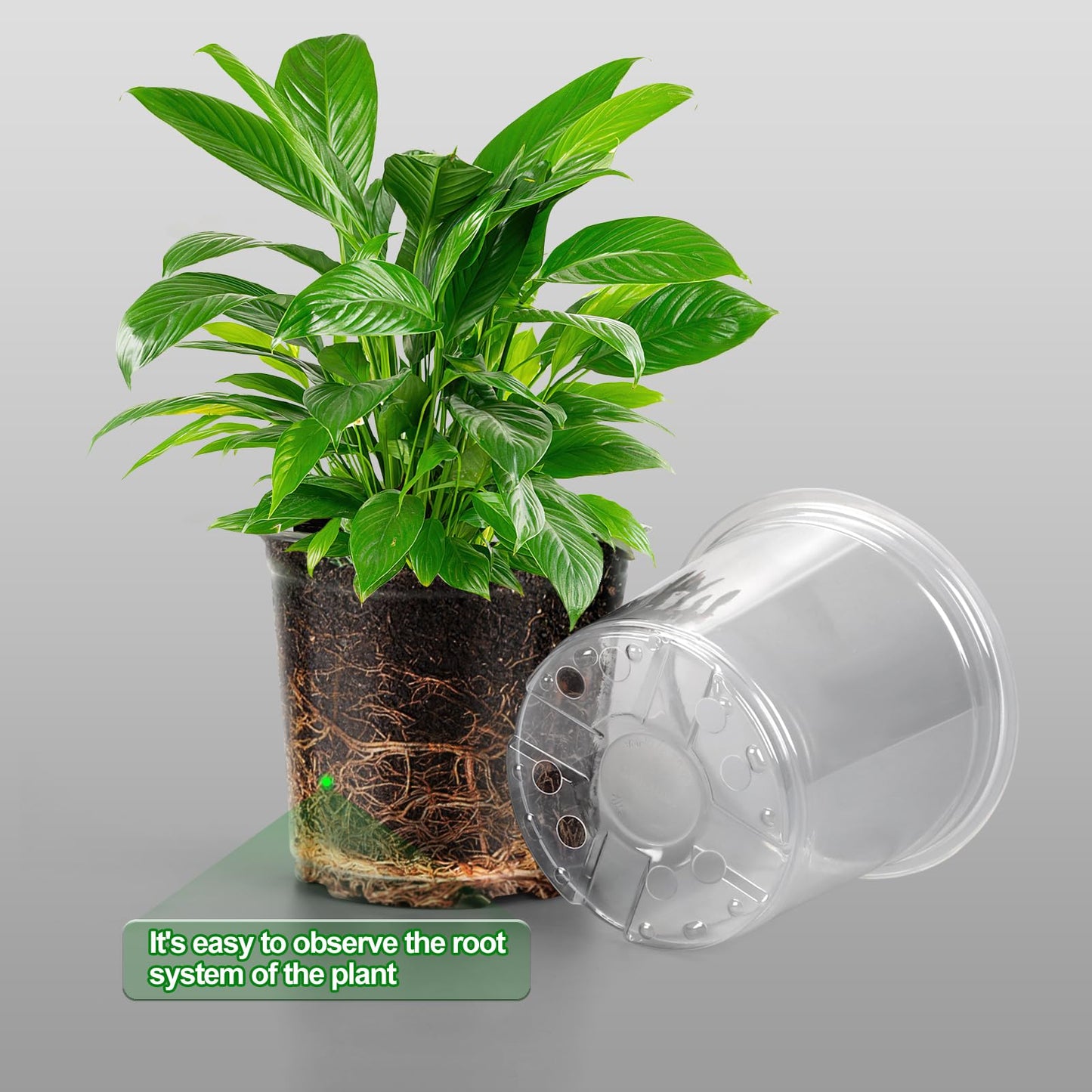 OUPSAUI 36 Pack 7/6/5/3.5 Inch Clear Nursery Pots with Drainage, Clear Pots for Plants, Flexible Plastic Seed Starting Pot