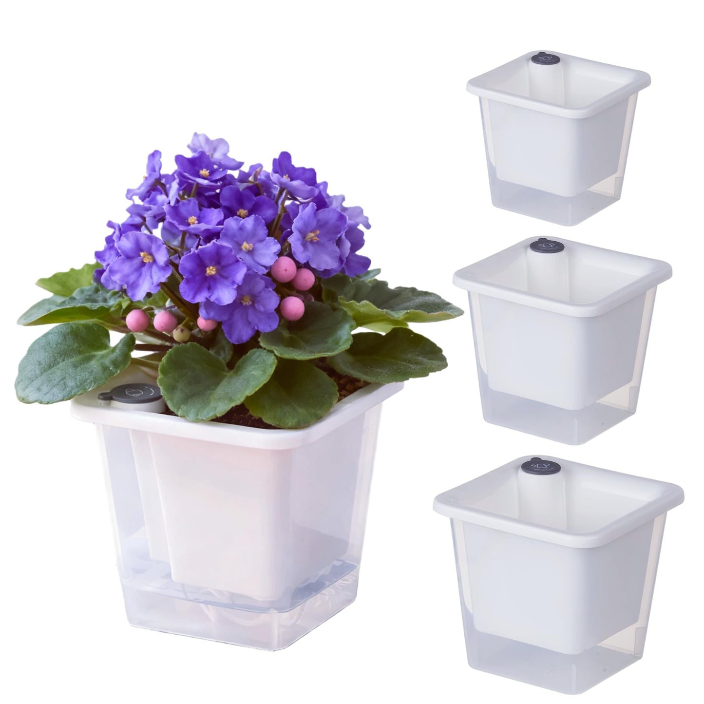 FAMZ Self Watering Pots for Indoor Plants 3 Pack，Clear Plant Pots with Drainage for African Violet、 Orchid、Succulent Plants Square Plant Pots（White 5.12"）
