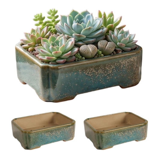 krayce Serenya Ceramic Bonsai Pot Set - 6.3" Rectangular Planter with Drainage Tray, Handmade Kiln-Glazed, Indoor/Outdoor for Succulents, Herbs, Bonsai | Unique Gift for Plant Lovers