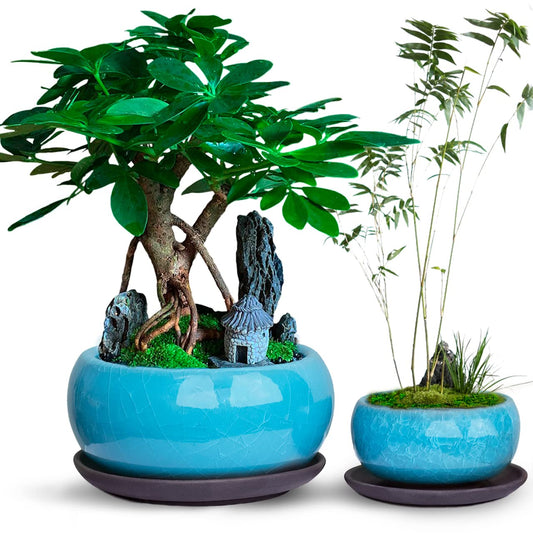 Dahlia Round Ceramic Succulent Pot/Bonsai Pot with Drainage Tray, 2pc Set Teal