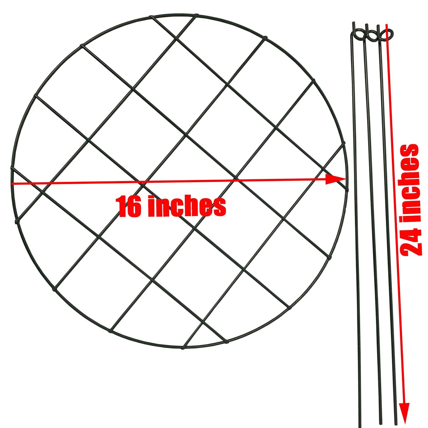 2 Pack Round Peony Cages and Supports Grow Through Grid Plant Brace,24 inch Heigh Plant Support Stake for Small Plant Flower Vegetable (2pcs 24“)