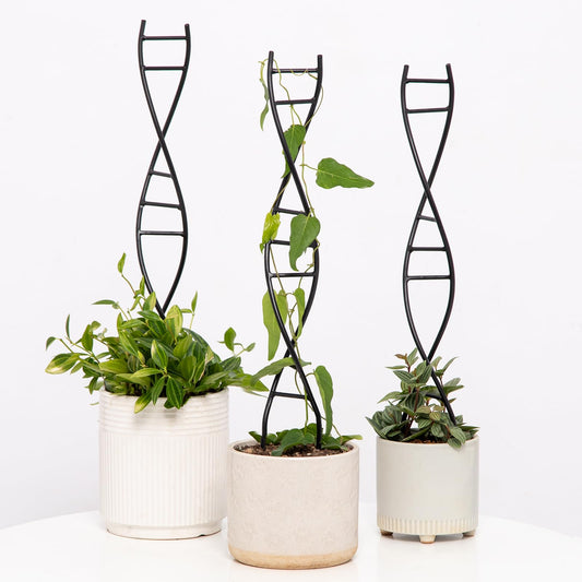 Yohsnor 3 Pcs Indoor Plant Trellis Set - Black Metal DNA Design for Potted Plants, Small Houseplants & Climbing Support - Modern Home Decor & Vertical Garden Display - Perfect for Indoor & Outdoor Use
