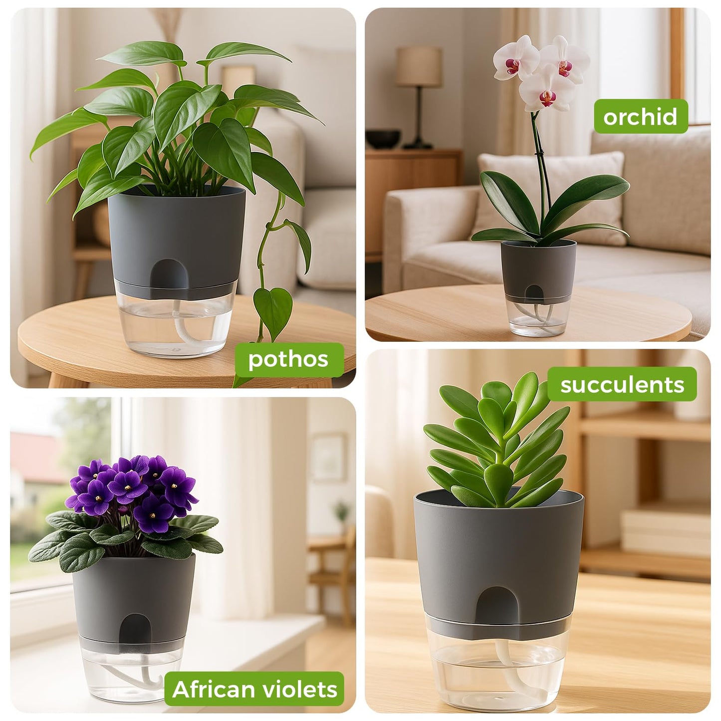 Planterhoma 6 Pack Self Watering Pots for Indoor Plants, 3.2/4/6 Inch Plant Pot Plastic Self Watering Planter for Orchid, African Violet, Small Clear Flower Pots with Drainage Holes and Wicking, Grey