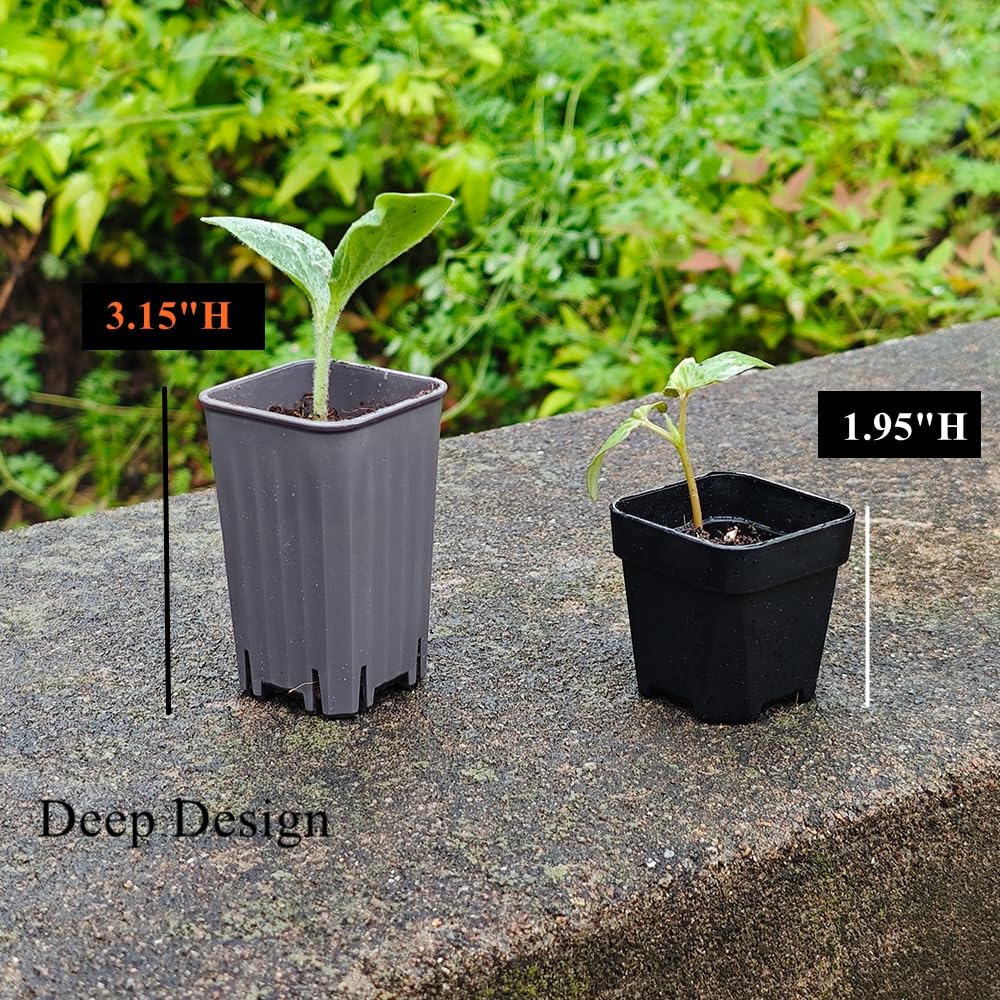 BangQiao 180 Pack 1.95 Inch Tiny Gray Plastic Square Nursery and Seedling Pot, Mini Deep Transplant Seed Starter Planter with Drain Hole for Germination, Herb, Succulent