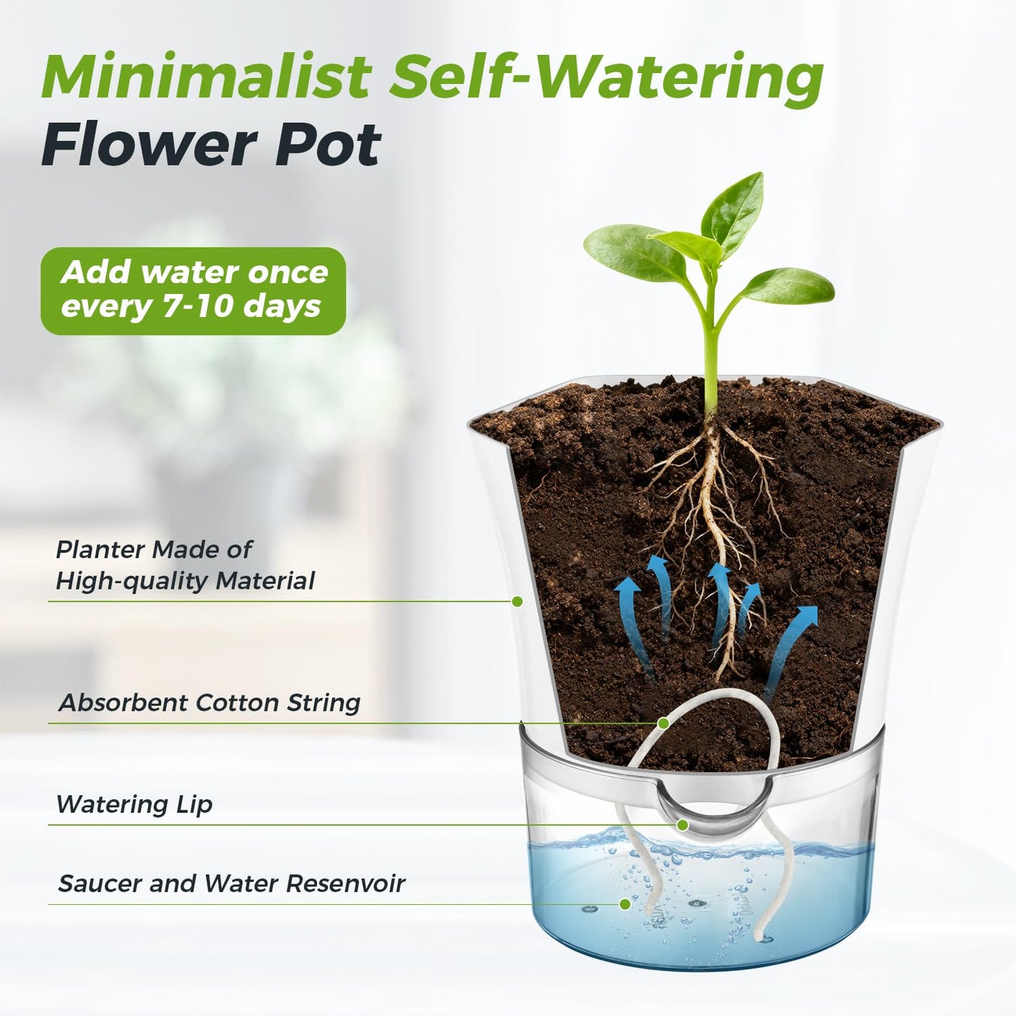 10-Pack 6" Clear Self Watering Pots for Indoor Plants Large Hexagon Self-Watering Planters Orchid Pots Plastic Wick Flower Plant Pots for African Violet, Spider, Herbs, Home Decor, White and Clear