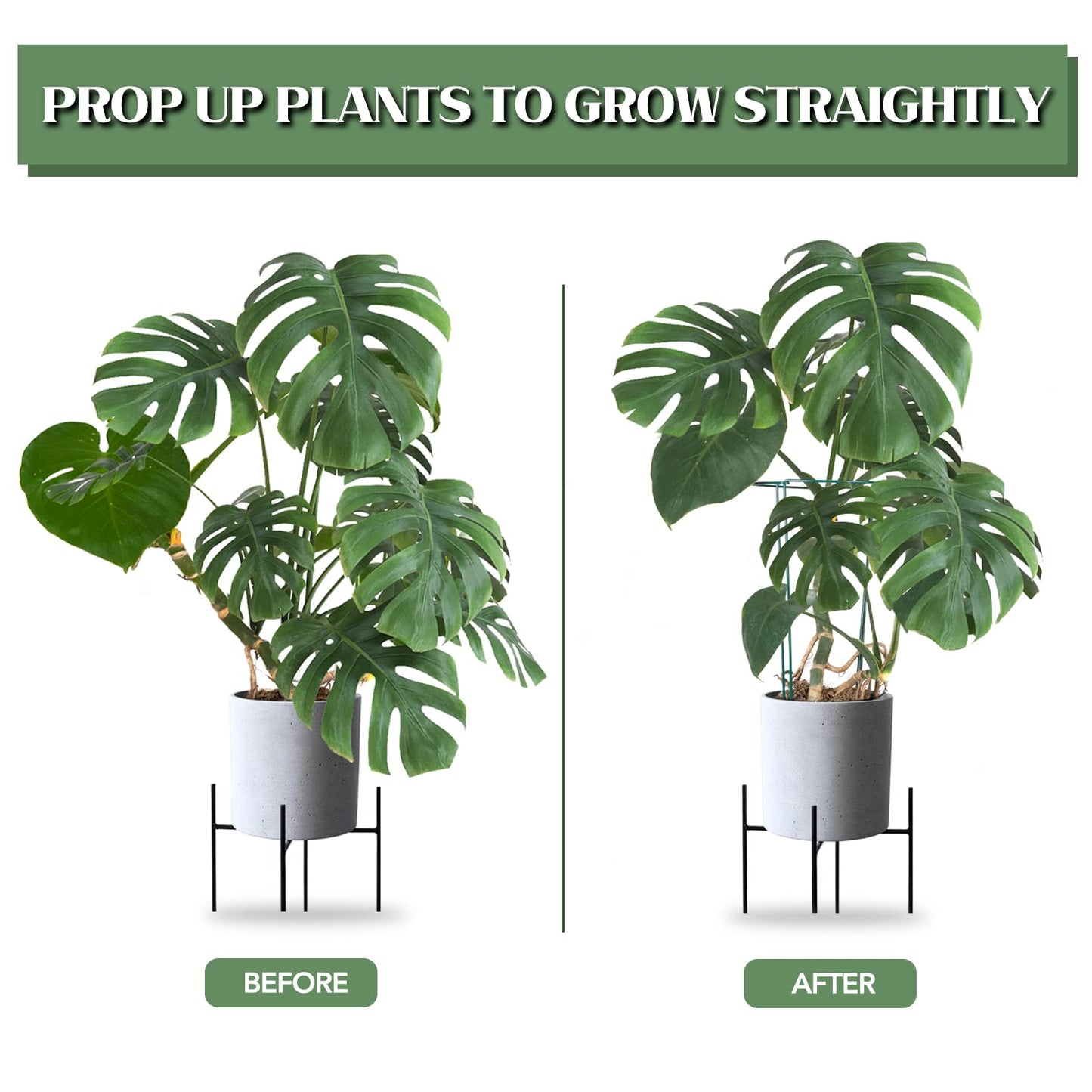 Joyhalo 12 Pack Plant Support Stakes, 16 Inch Plant Stakes for Outdoor Plants, Peony Cages and Supports, Peony Cage with 15 Pcs Twist Ties, Flower Stakes Peonies Support Cages for Plants