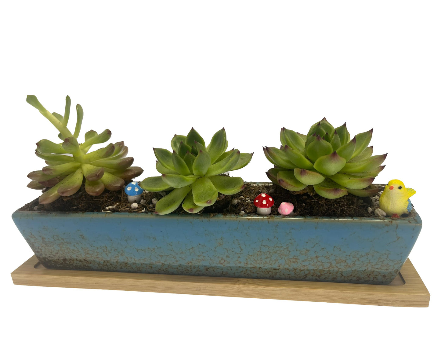 9.8 inch blue long rectangle Ceramic Succulent Planter Pot,one set of Mini Flower Plant Container with Bamboo Saucers. not include the plant.