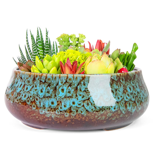 ARTKETTY Succulent Pots - 8 Inch Plant Pot, Large Bonsai Pots with Drainage, Ceramic Planters for Indoor Outdoor Plants, Round Shallow Cactus Flower Plant Container Bowl Decorative Home Garden