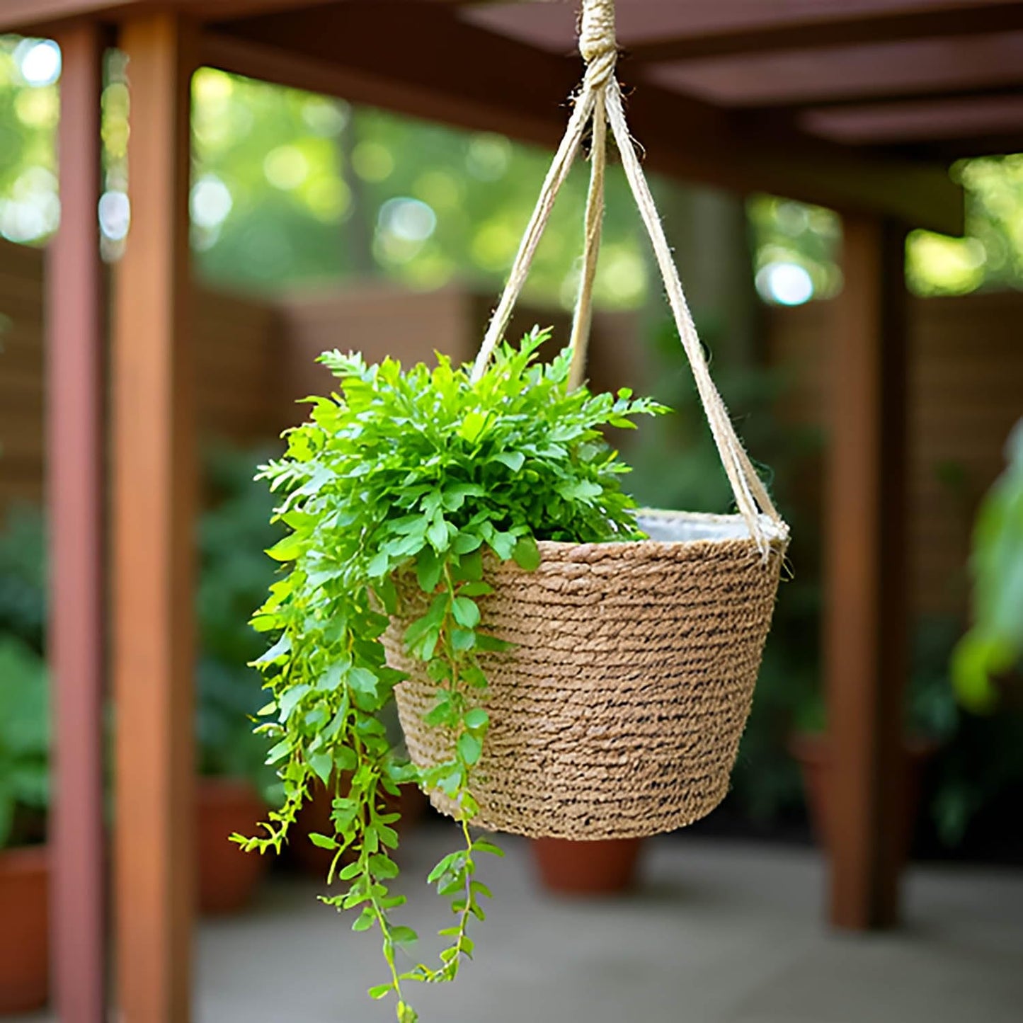 Laquedecraft Woven Seagrass Plant Basket with Hangers | Decorative Planter for Small-Space Living or Natural Home Styling | Perfect for Living Room, Balcony, Patio, Kitchen or Gadren (Set of 2)