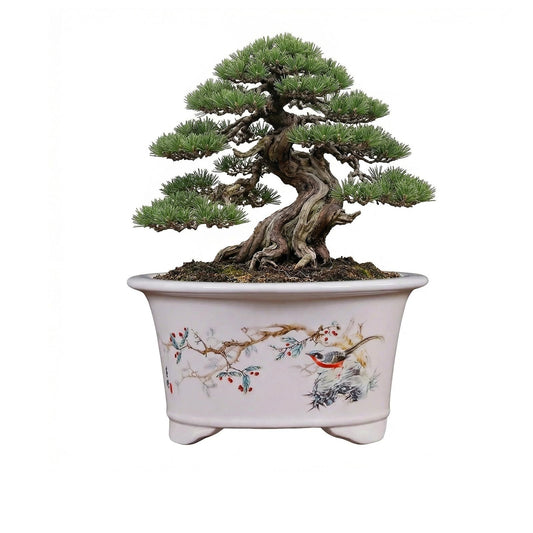 KyoYi Ceramic Planters & Bonsai Pots with Drainage, 6.69 Inch Round Blue and White Plant Pots for Succulents & Bonsai Tree, Vintage Indoor-Outdoor Small Plant Pot for Home Office Decor Gift