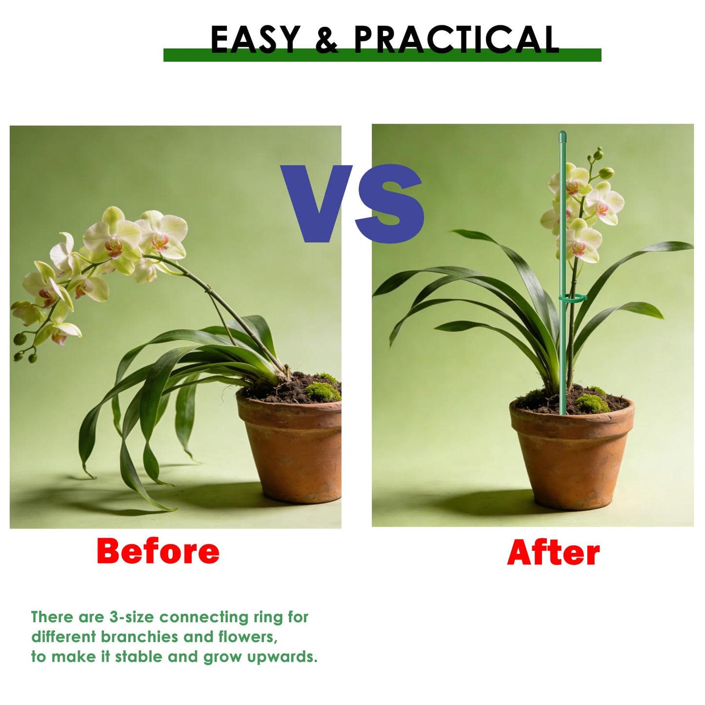 20 Set Plant Stakes 12 inch Extendable Plant Support Stakes with Adjustable Clips Rings, Flower Stem Plant Support Sticks for Indoor Outdoor Plants Stabilizer Garden Sticks for Orchid Rose Tomato