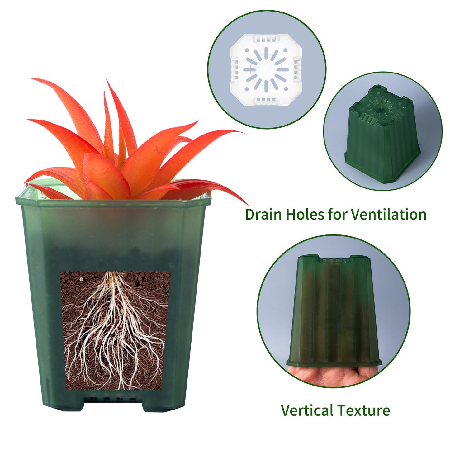 foxany 3 Inch Transparent Green Nursery Pots, 30 Pcs Thick Plastic Plant Pot, Square Flower Planting Pots Variety Pack, Seedling Planter Starter Pots with Saucers for Garden