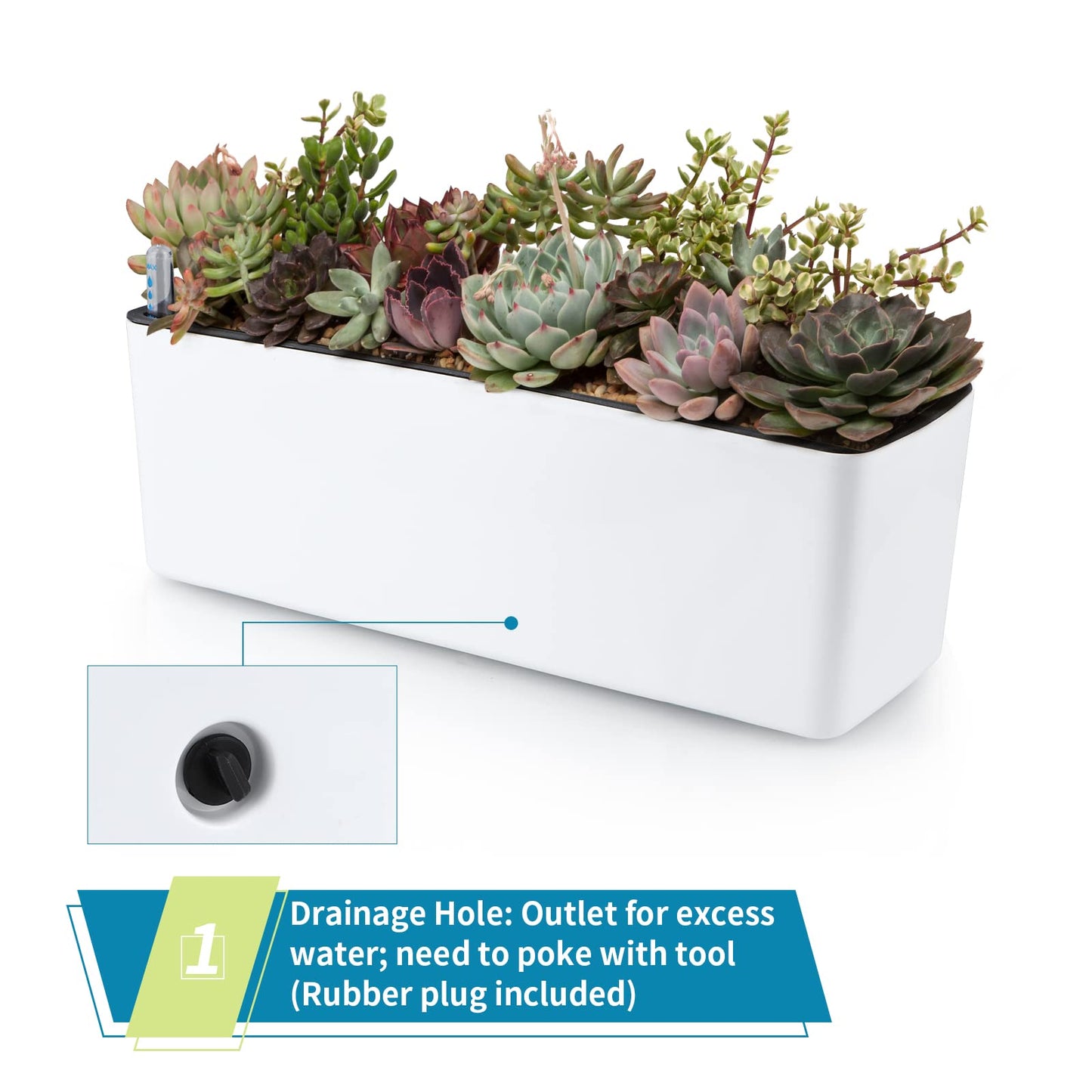 Skelang 2-Pack Self Watering Planter, Rectangle Flower Pot with Water Level Indicator, Window Gardening Box for Indoor Plants, Succulent, Sprout, Pepper
