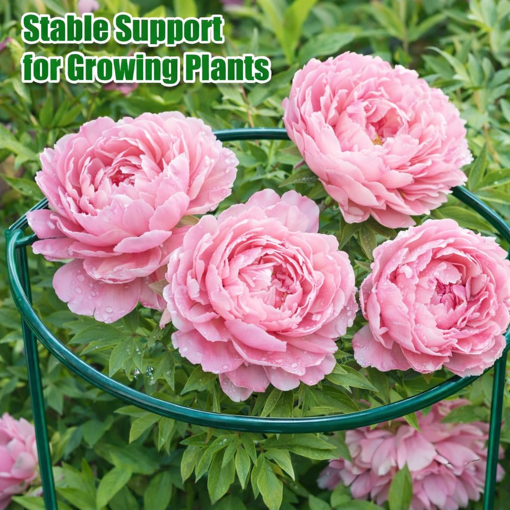 Peony Cages and Supports, 8 Pack Large Half Round Plant Support Cage 10" x 24", Heavy Duty Garden Plant Stakes for Indoor & Outdoor Plants, Peonies, Hydrangeas, Tomatoes & Flowers