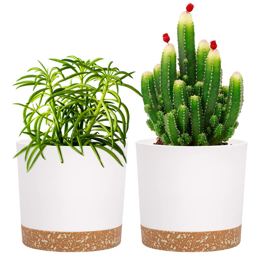 QCQHDU 5 inch Plant Pot, 2 Pack Planters for Indoor Plants with Drainage Holes & Saucer, Outdoor Flower Pots Home Garden Modern Decor