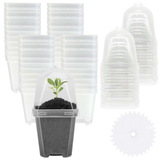 EBaokuup 50 Pcs Clear Plant Nursery Pots with Humidity Dome-4" Reusable Plastic Gardening Pot with Labels-Small Seed Starting Pots for Seedlings,Vegetables,Succulents,Cuttings