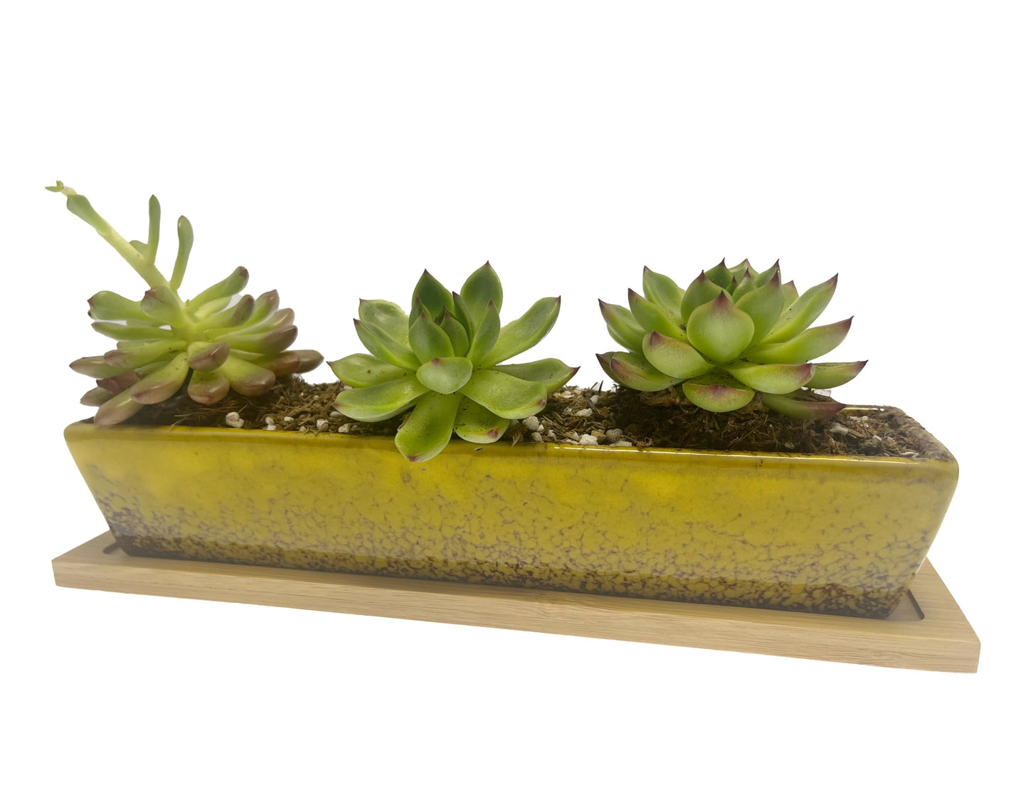 9.8inch yellow long rectangle Ceramic Succulent Planter Pot,one set of Mini Flower Plant Container with Bamboo Saucers. Product size:9.8 x2.35x1.77 inch,not include the plant. (Yellow)