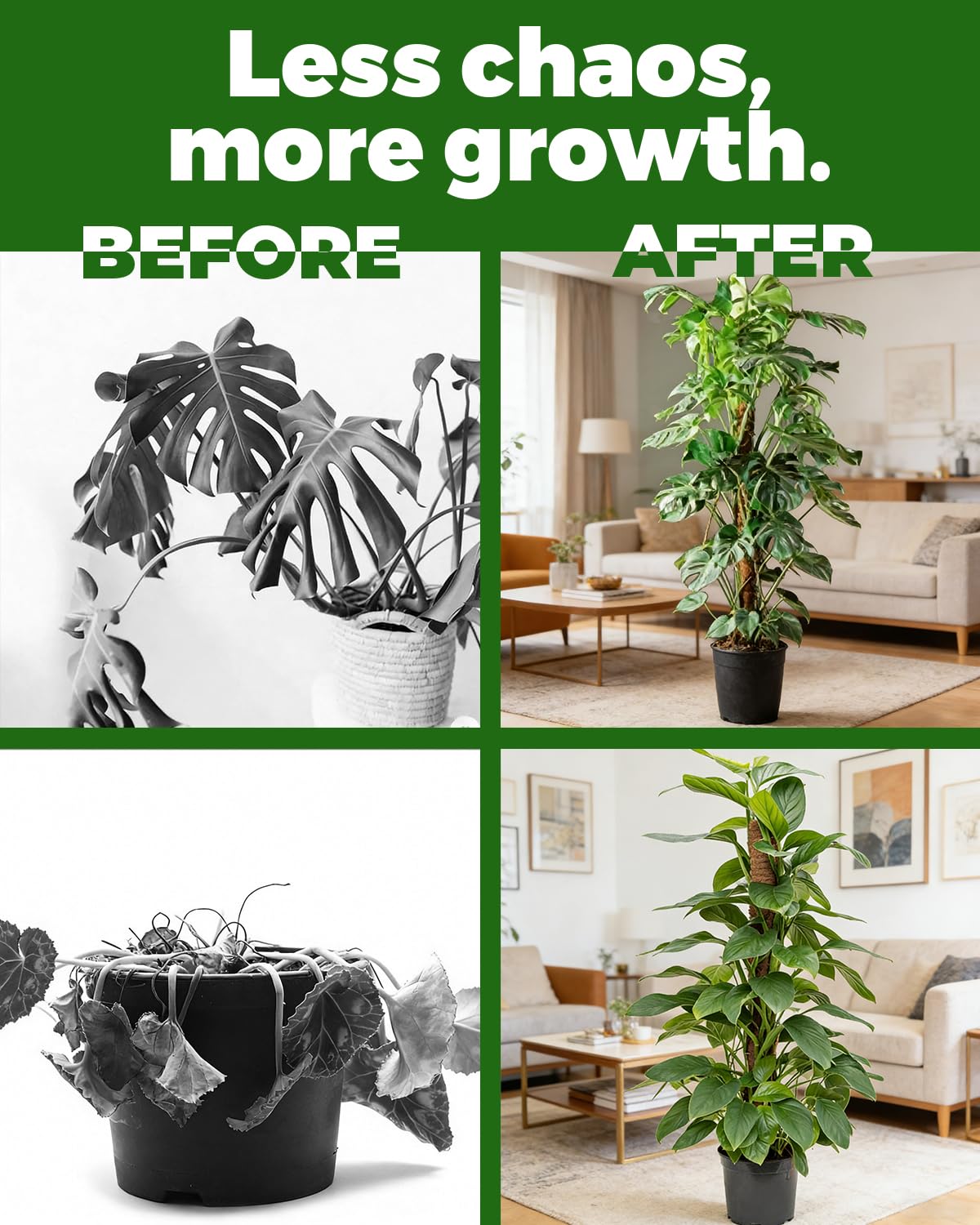DKP 6 Pack Tall Moss Pole & Monstera Plant Support: Includes (3) 28in & (3) 48in Coco Coir Poles + 3-Piece Iron Gardening Tools for Creeper Plant Support, Pothos, Indoor Climbing Plants