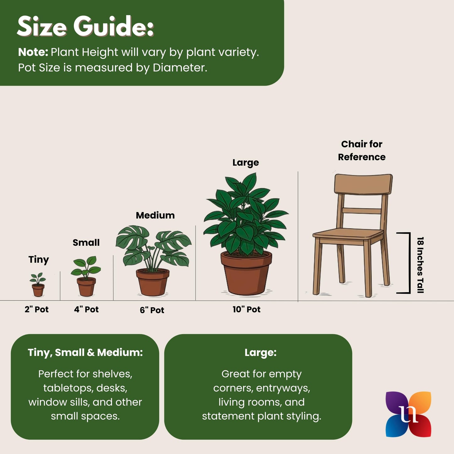 Live Snake Plant by United Nursery, Sansevieria Zeylanica 20-25" inches Tall in 10 inch Plant Pot, Easy Care Indoor House Plant for Office or Home Decor