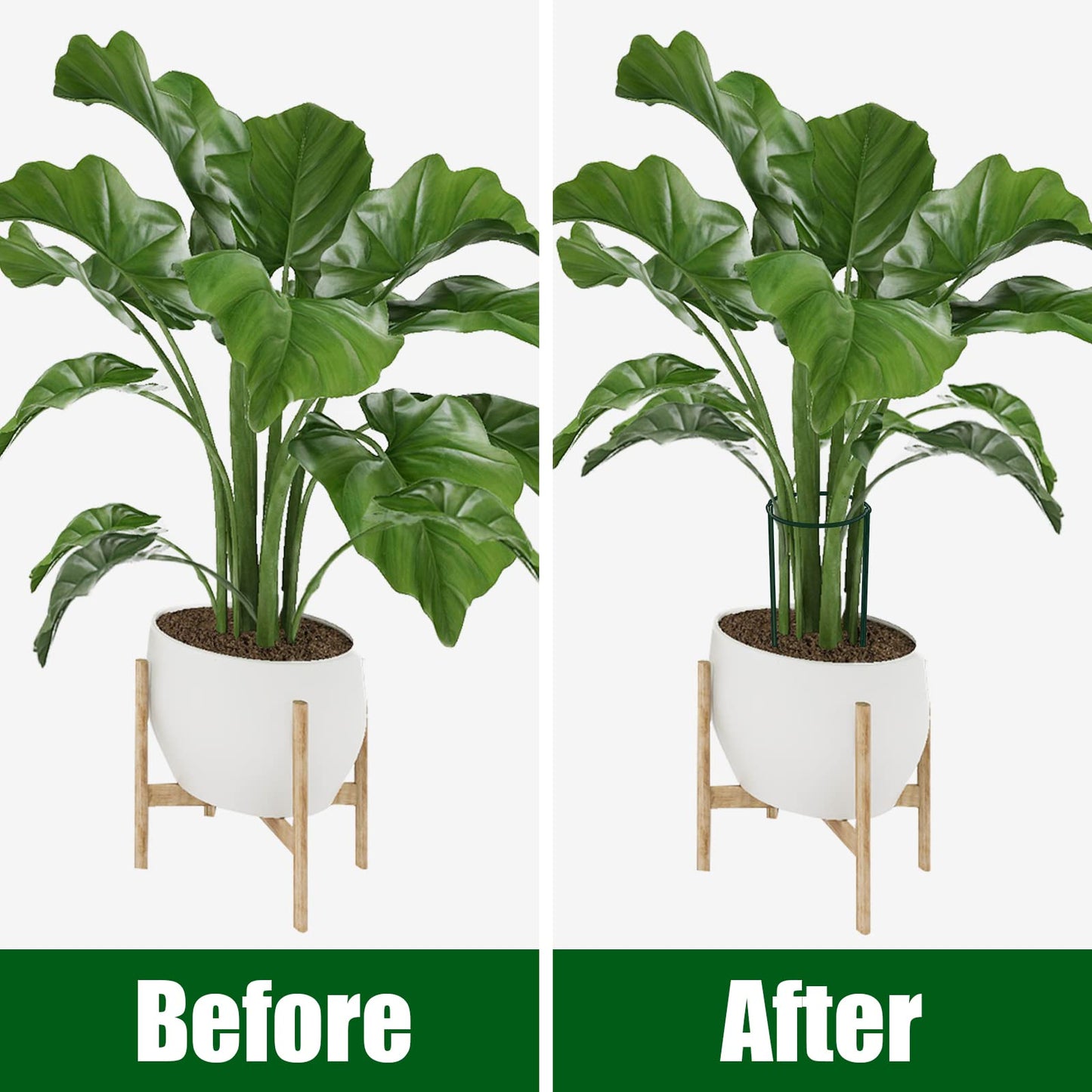 FEED GARDEN 8 Pack Plant Support Stakes, Peony Cages and Supports, Metal Garden Plant Stake(10" Wide x 16" High) Green Half Round Plant Support Rings for Outdoor Indoor Plants, Tomato, Hydrangea