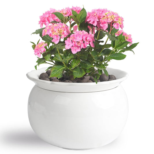 BUYMAX African Violet Pots, 6 inch Ceramic Easy Self Watering Plant Pot for Busy Plant Lovers, Automatically Absorb Appropriate Amount of Water, Flower Pot Indoor-Plants Not Included