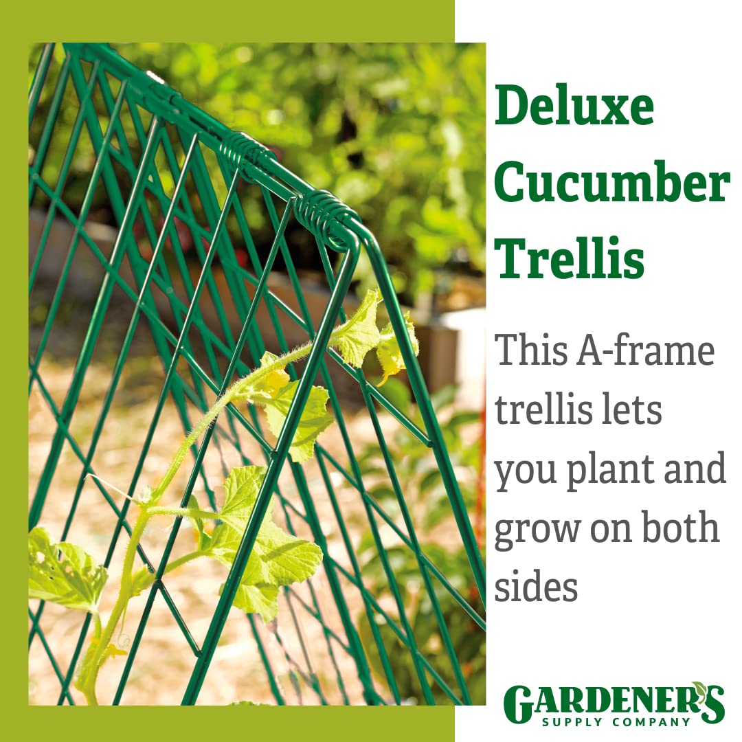 Gardener's Supply Company Deluxe Cucumber Trellis (Green) | Powder Coated Steel Vegetable Support - 32” W x 46” H