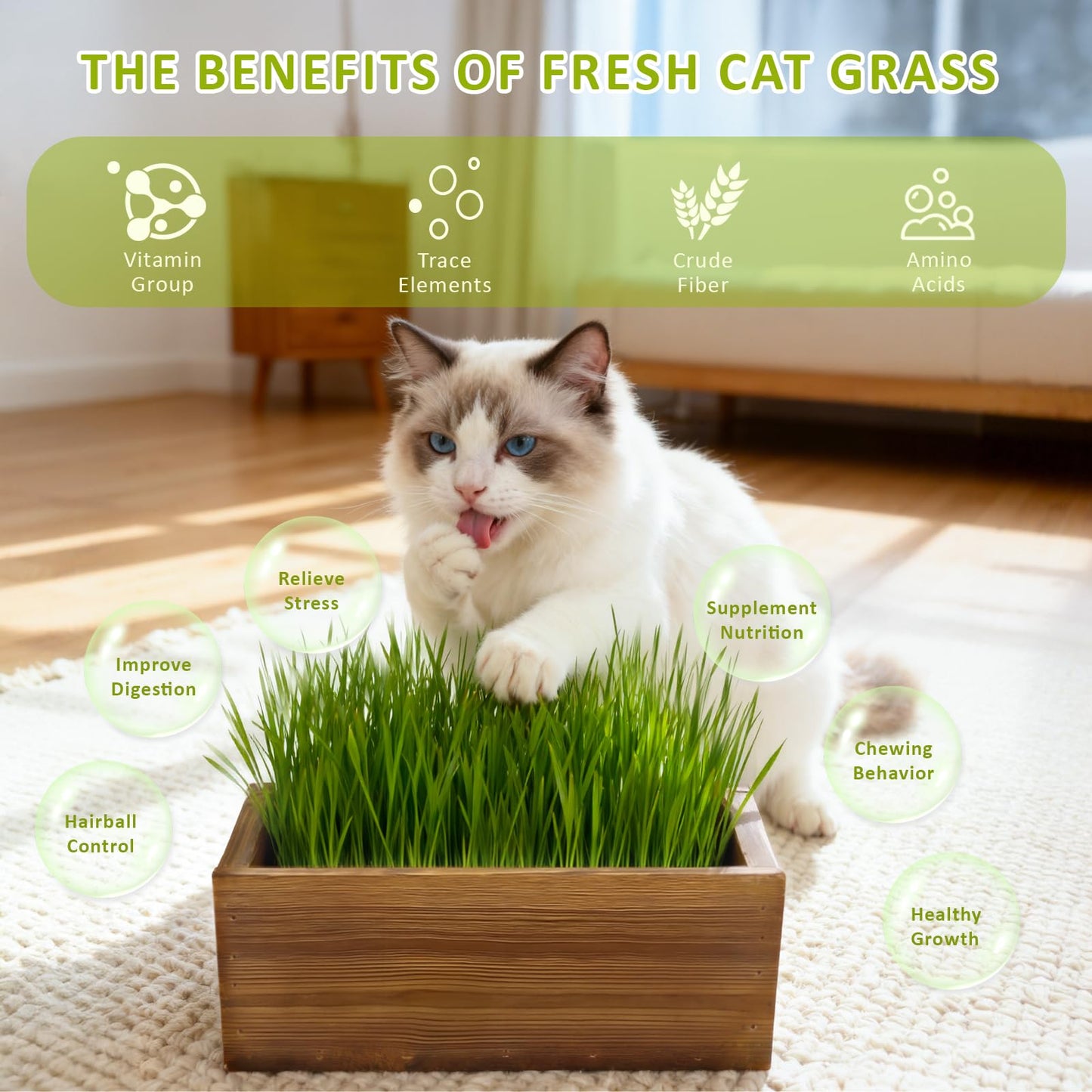 Cat Grass Kit for Indoor Cats with Wooden Planter - 5 Pack Cat Grass & 5 Coconut Soil, Complete Planting Tools, Water Sprayer, Scissors, Bonus Cat Gifts - Natural Wheat Grass for Hairball Control