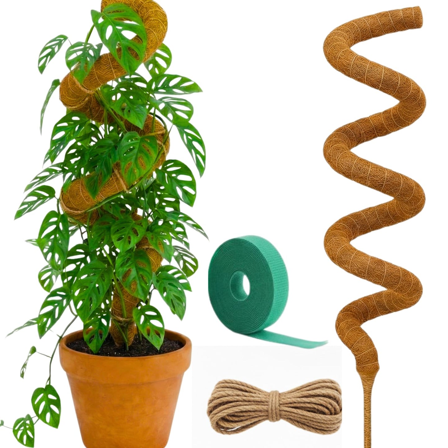 Auraville Moss Pole Monstera Plant Support | 60 Inch Plant Stakes for Indoor Plants | Coconut Palm Fiber Moss Poles for Climbing Plants | Handmade Plant Sticks Support Tall Monstera, Pothos & More