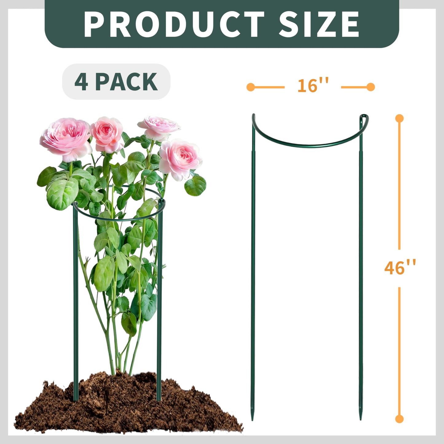 TCBWFY 4 PCS Plant Supports 16" Dx46 H Peony Cages and Supports,6mm Thick Metal Wire Heavy-Duty Garden Stakes for Indoor & Outdoor Plants,Ideal for Peony,Tomato,Hydrangea,Rose