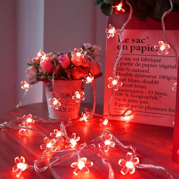 Battery Lighted & USB Plug in Fairy Flower String Lights, 9.8 ft 30 LED Cute Cherry Blossom Lights with Timer Indoor Bedroom Party Wedding Christmas Easter Tree Branch Hanging Decorations (Red)