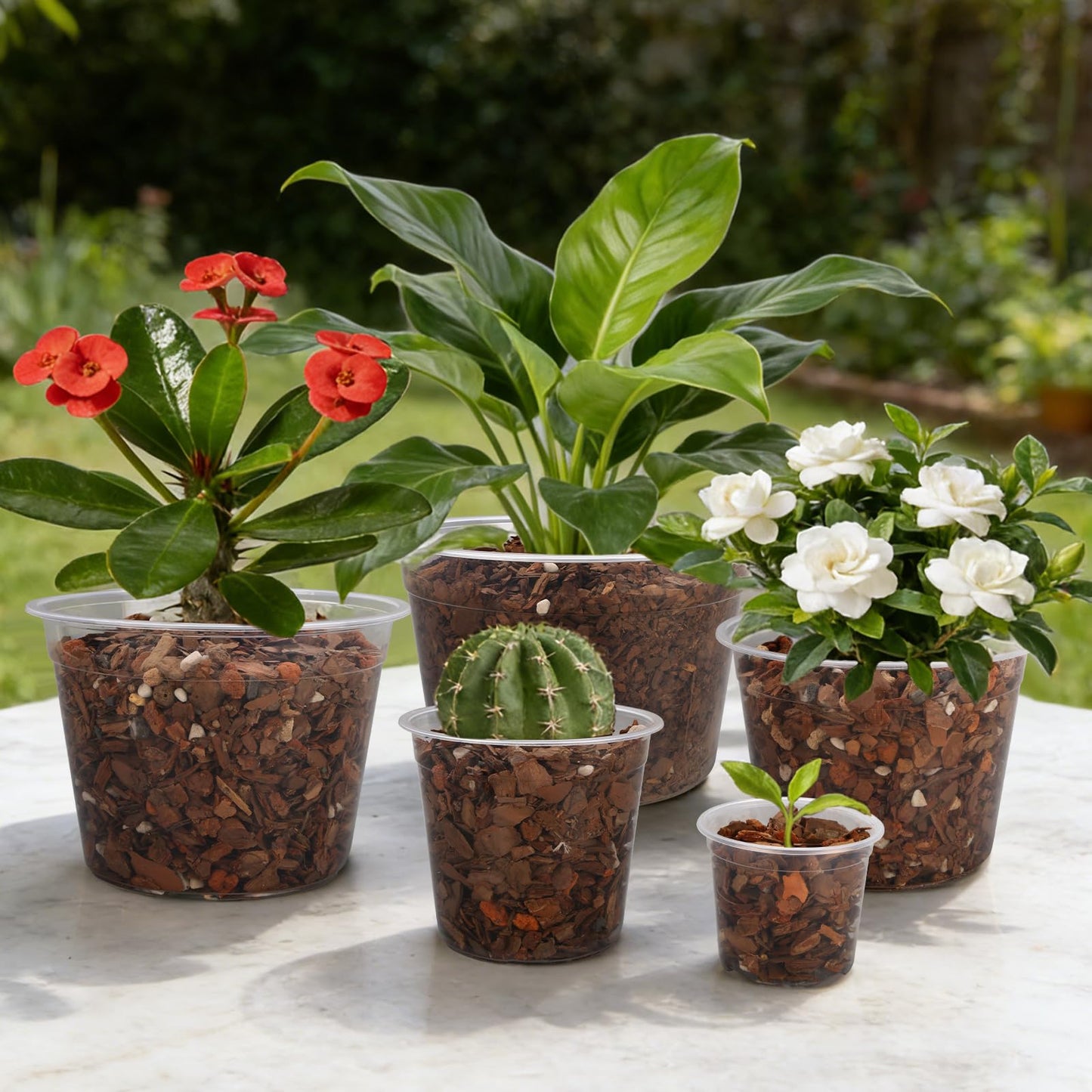 OUPSAUI 35 Pack 4/6/8/10/12 Inch Clear Nursery Pots with Drainage Hole, Clear Large Plastic Pots for Plants, Transparent Variety Seedling Planter for Vegetable Flowers Fruits