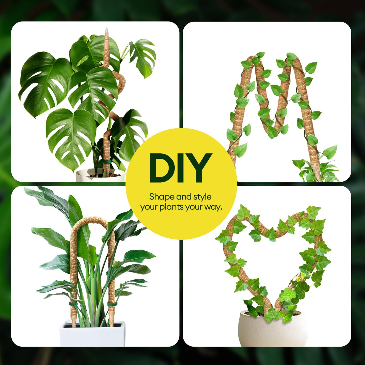 Maygrove 3-Pack 48” Bendable Moss Pole Monstera Plant Support for Climbing Indoors Plants, Coir Moss Poles Moss Sticks Plant Pole DIY, Plant Support Stake for Potted Plants