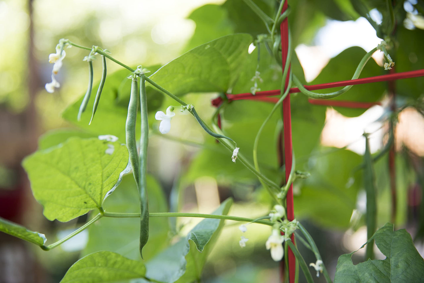 Gardeners Supply Company Large Bean Tower Plant Support | Sturdy Weatherproof Outdoor Beans, Peas & Other Climbing Vegetable Garden Plants Stake | Best for Small Space Garden - 75" H - Red