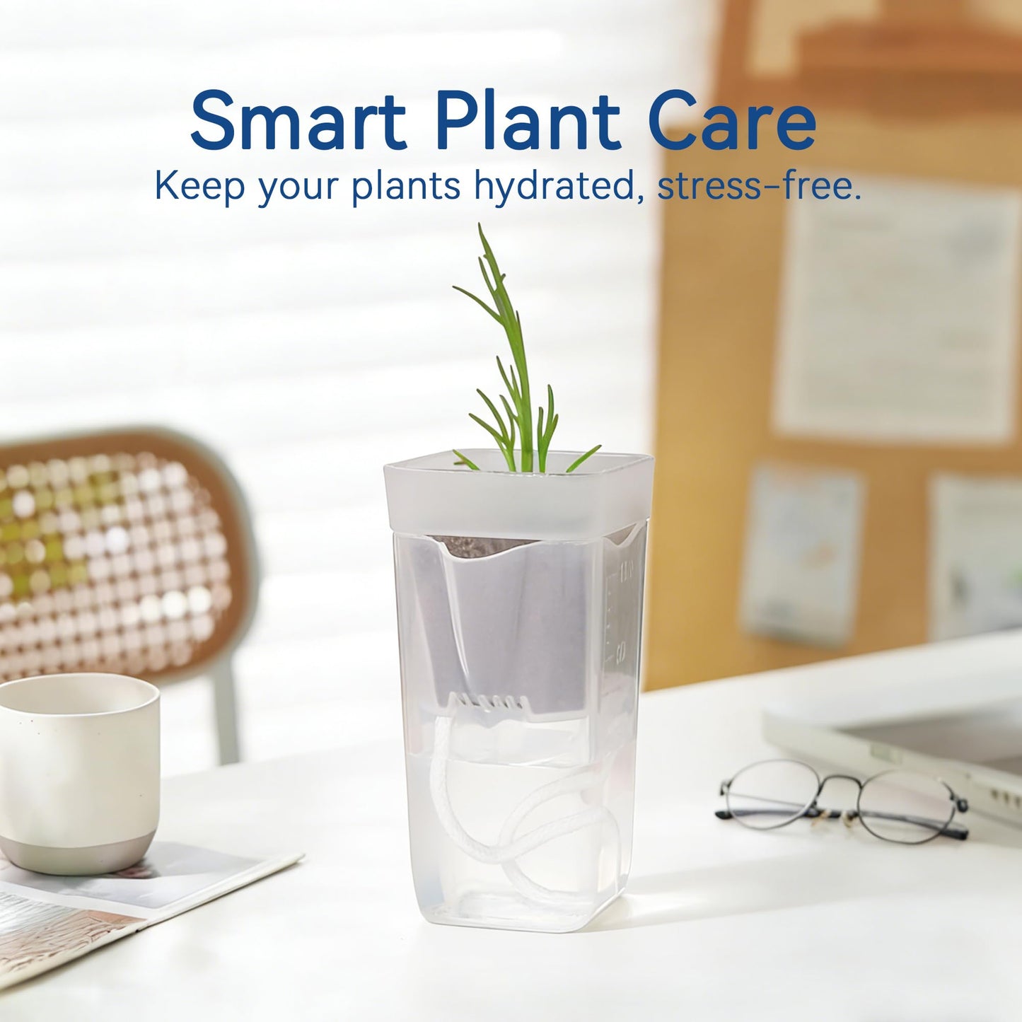 sunanday 16 Pack 2" Mini Self Watering Pots for Indoor Plants, Small Clear Deep Square Plastic Planters,Self Watering Planters Garden Flower Pots for fluval Stratum,alocasia Live Plant