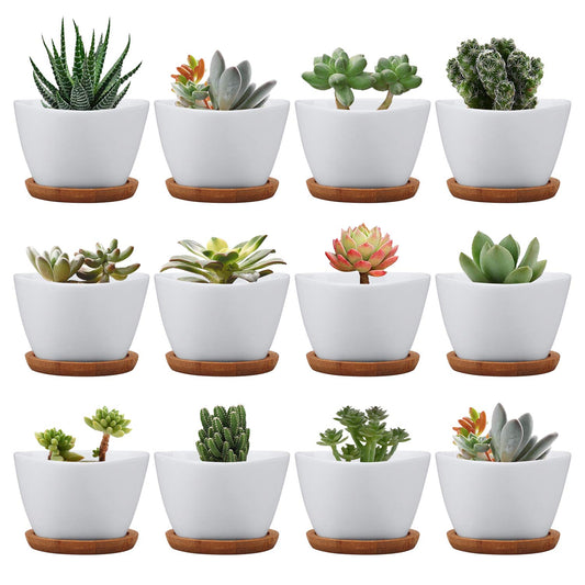 Brajttt Succluent Pots ，Small Flower Pots Planter Pots with Drinage,Ceramic Flowers Pots with Bamboo Tray for Cactus(12 Pack)