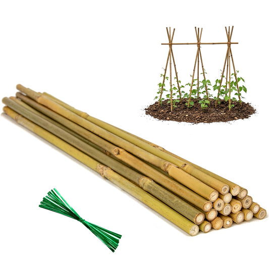 Plant Stakes Natural Bamboo Sticks - 20 Pcs Bamboo Garden Stakes for Plants 4.8 FT Plant Support Sticks with Twist Ties for Tomatoes Beans Flowers Indoor Outdoor Potted Climbing Plants