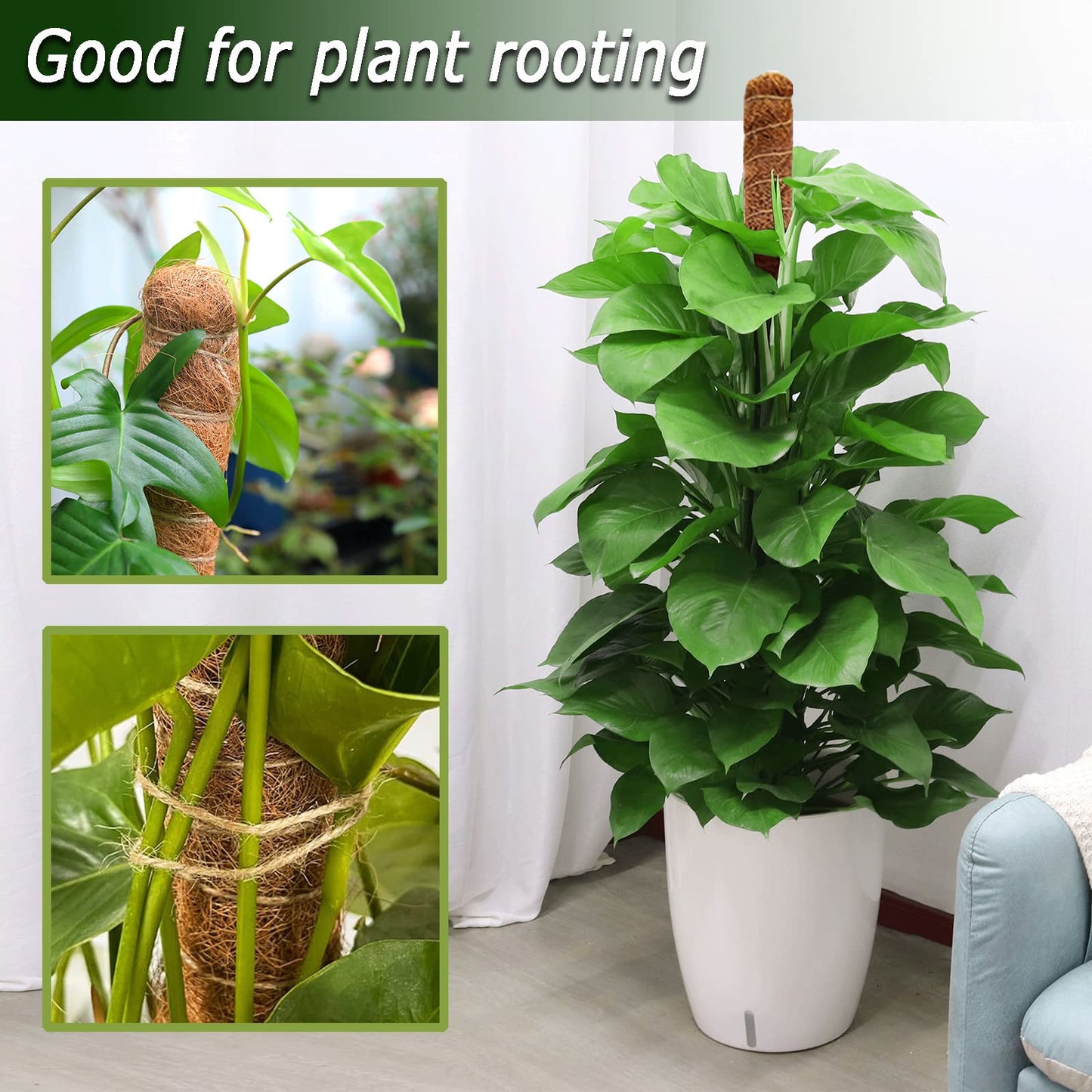 60 Inch Moss Pole for Plants Monstera, Tall Bendable Moss Poles for Climbing Plants Indoor, Large Handmade Plant Pole Sticks, Coco Coir Plant Support Stakes for Potted Plants, Pothos