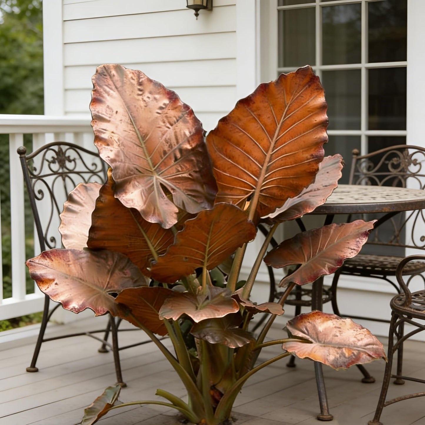 Hardy Elephant Ear Plant Bulbs | Tropical Colocasia for Home Garden & Outdoor Patio Landscaping (6)