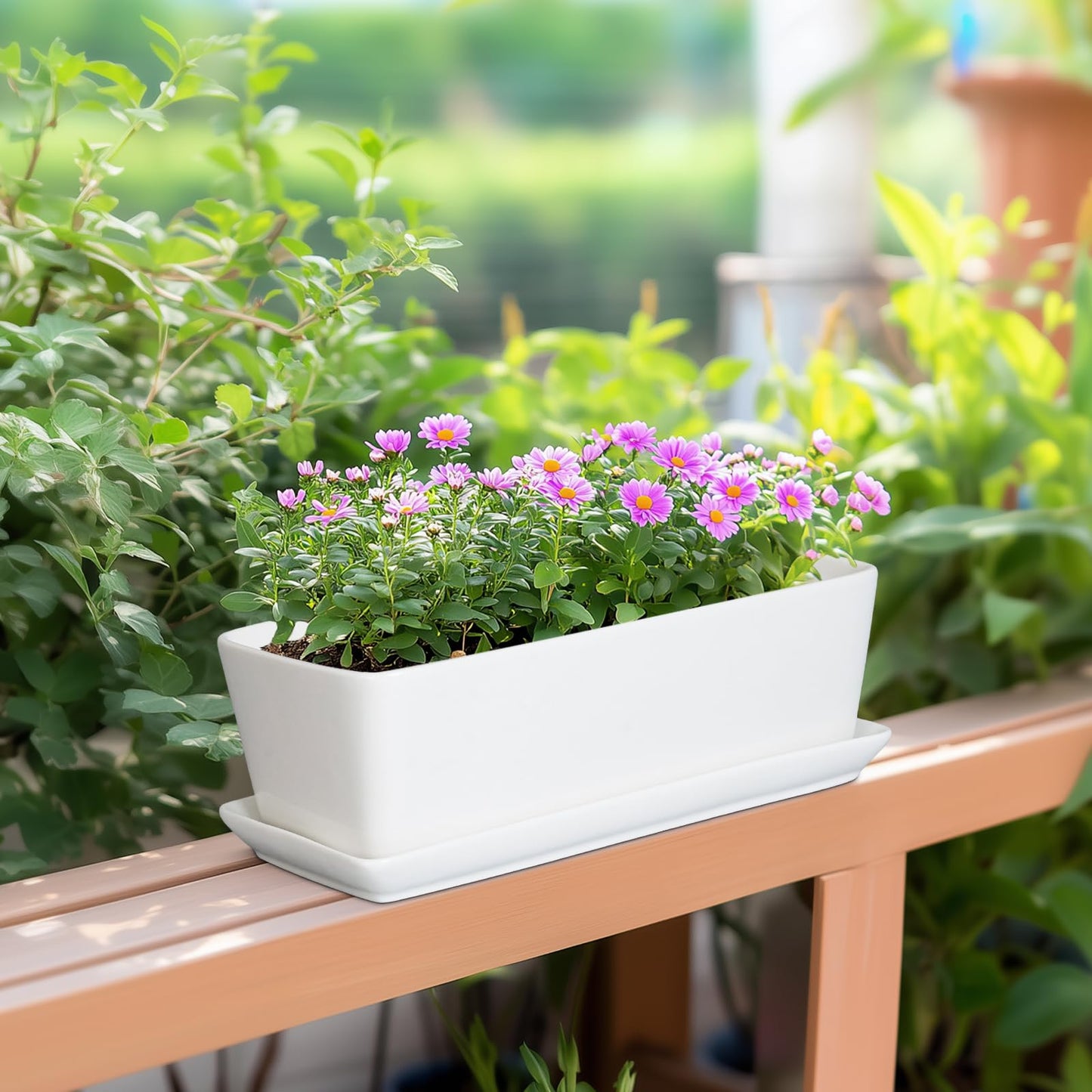 SQOWL Rectangular Planter - 10 Inch Ceramic Pots for Plants with Drainage Hole and Saucer, Succulent Pots for Indoor Outdoor, Cactus Herb Planter, Home Decor, Gifts for Plant Lovers, Glossy White
