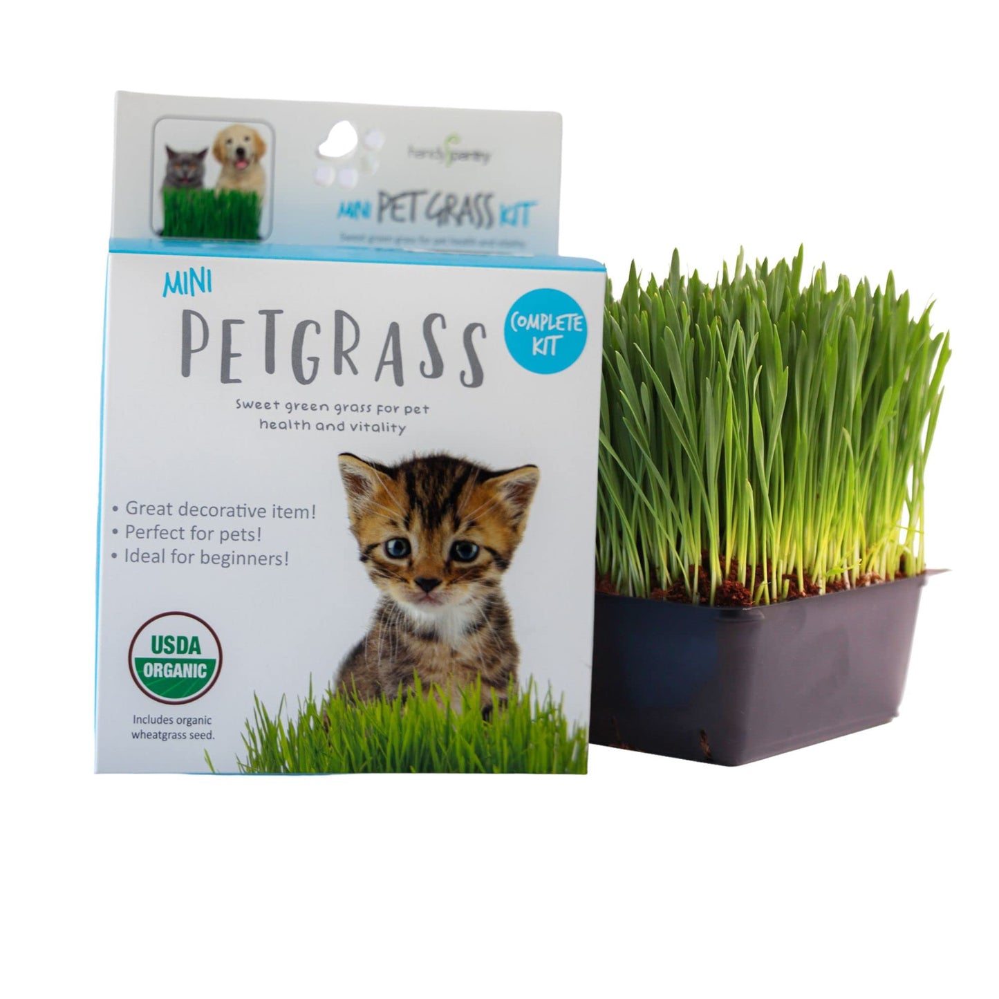 Handy Pantry Organic Cat Grass Kit - Includes 1 Tray, 1 Soil Puck, and Non GMO Wheatgrass Seed - A Healthy Treat for Cats, Dogs, Rabbits, and More