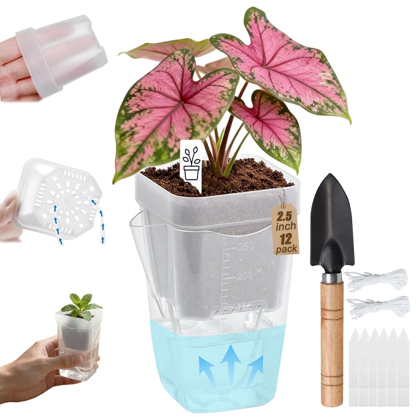 Poutilor 2.5 Inch Self Watering Pots, Clear Nursery Pots with Drainage Holes & Visible Water Level, 12 Pack Seed Starter Pots for Seedlings, Cuttings, Succulents, Prevent Overwatering