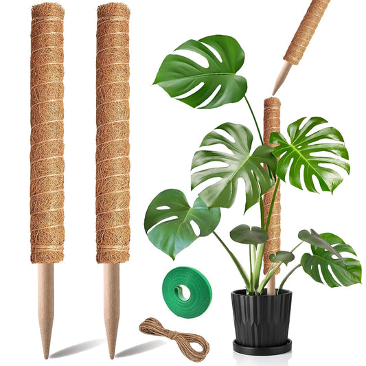 Moss Pole, 2Pack 21 Inch Plant Support Stakes for Indoor Plants, Monstera Plant Support Stakes, 37 Inch Tall Coir Plant Pole Sticks for Potted Plants, Pothos, Philodendron